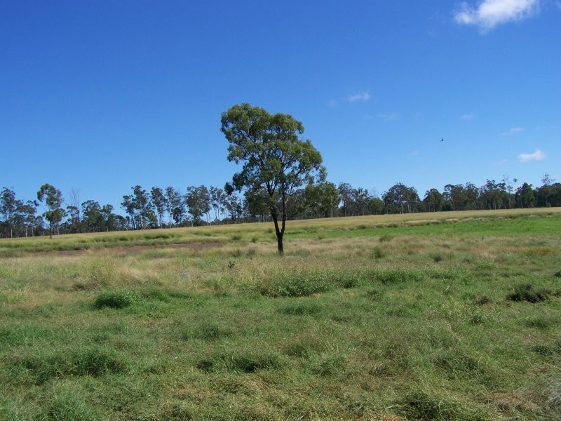 Miles QLD 4415