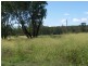 Miles QLD 4415