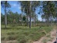 Miles QLD 4415