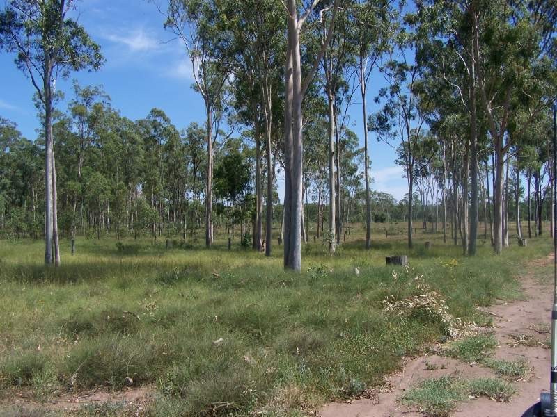 Miles QLD 4415