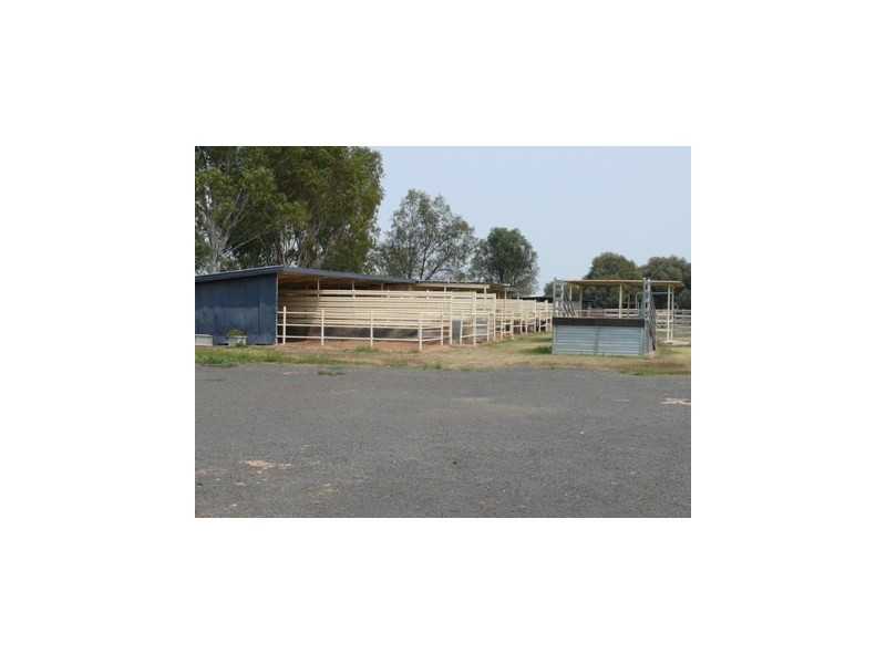 Roma QLD 4455