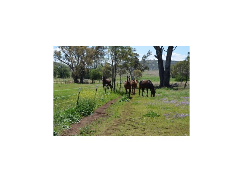 164 E Drew’s Road, Westbrook QLD 4350