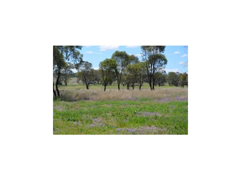 164 E Drew’s Road, Westbrook QLD 4350