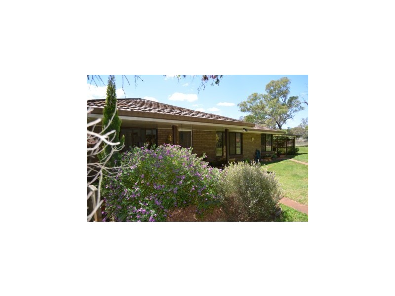 164 E Drew’s Road, Westbrook QLD 4350