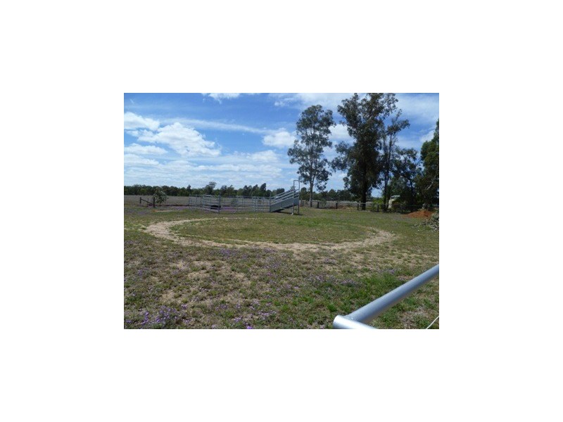 71 MCPHIE ST, Roma QLD 4455