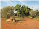Quilpie QLD 4480
