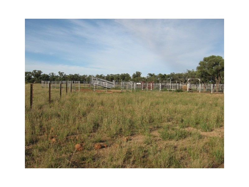 Quilpie QLD 4480