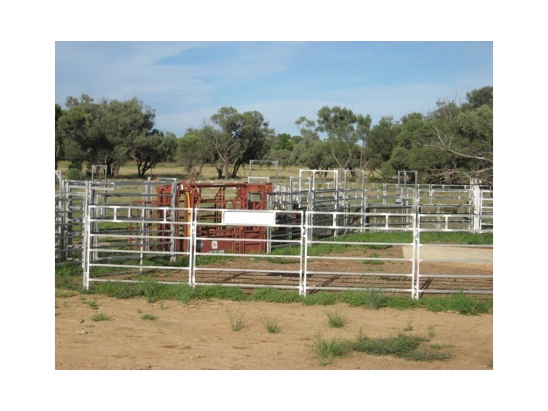 Quilpie QLD 4480