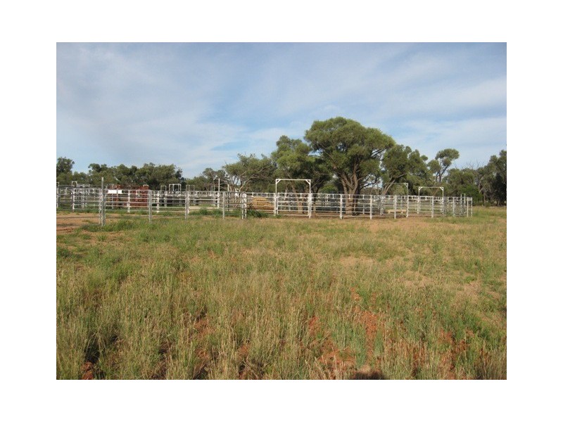 Quilpie QLD 4480