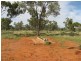 Quilpie QLD 4480