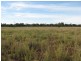 Quilpie QLD 4480