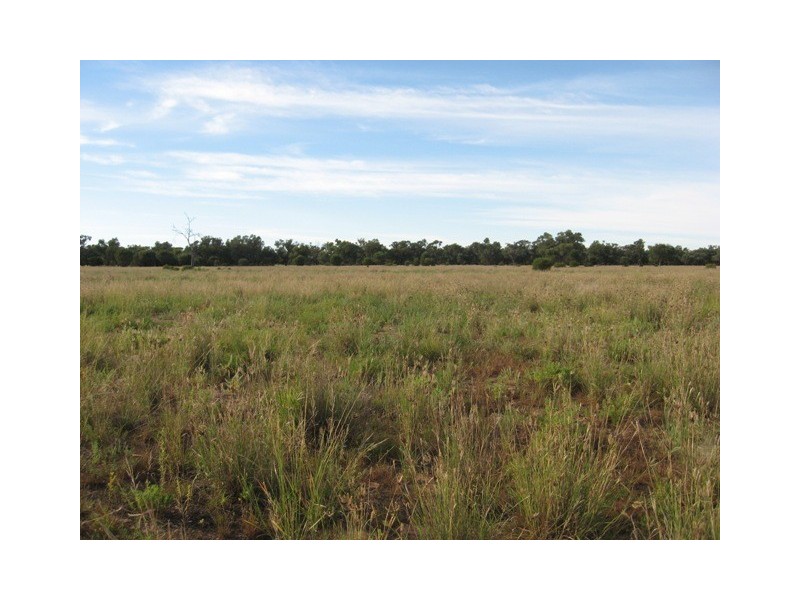 Quilpie QLD 4480
