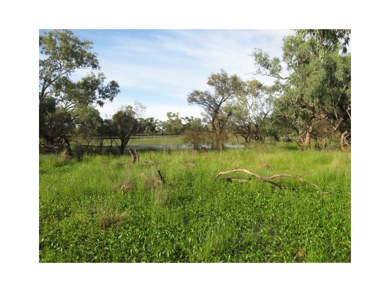 Quilpie QLD 4480