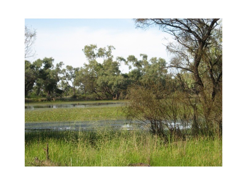 Quilpie QLD 4480