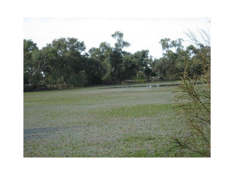 Quilpie QLD 4480