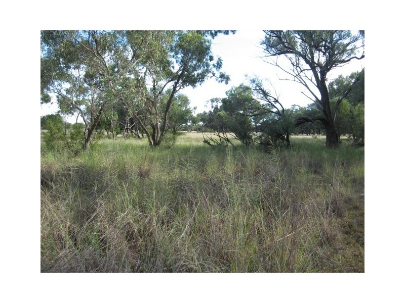 Quilpie QLD 4480