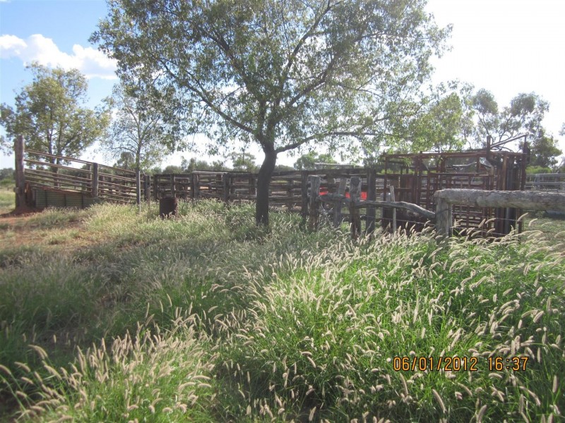 * CLOVER LAKES, Cunnamulla QLD 4490