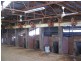 * CLOVER LAKES, Cunnamulla QLD 4490
