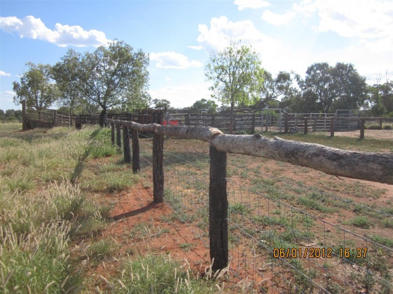 * CLOVER LAKES, Cunnamulla QLD 4490