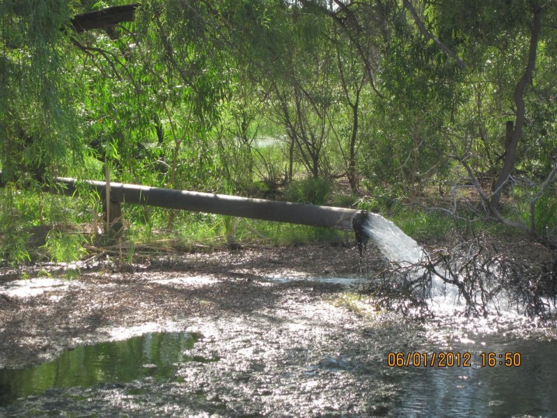 * CLOVER LAKES, Cunnamulla QLD 4490
