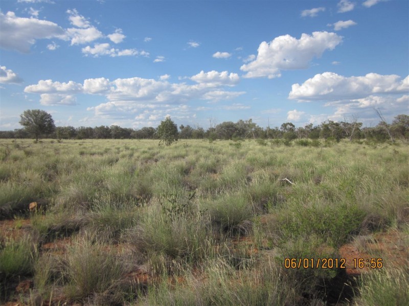* CLOVER LAKES, Cunnamulla QLD 4490