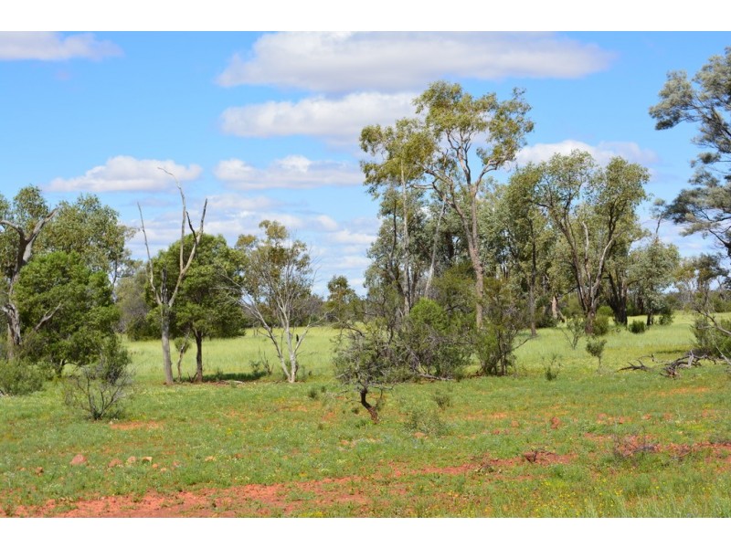 * CLOVER LAKES, Cunnamulla QLD 4490