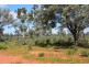 * CLOVER LAKES, Cunnamulla QLD 4490