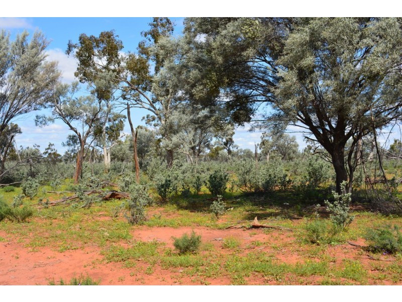 * CLOVER LAKES, Cunnamulla QLD 4490