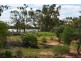 * CLOVER LAKES, Cunnamulla QLD 4490