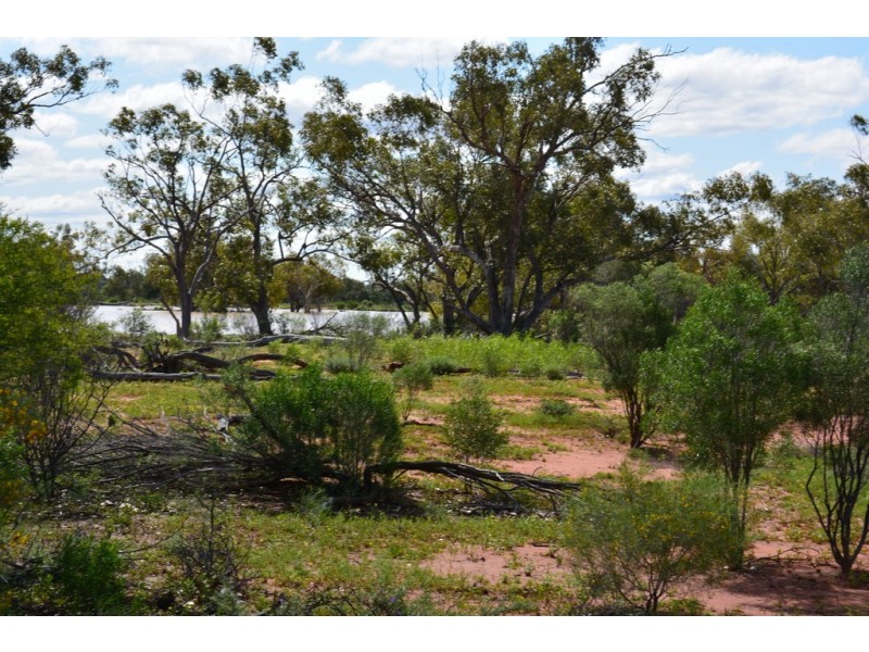 * CLOVER LAKES, Cunnamulla QLD 4490