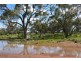 * CLOVER LAKES, Cunnamulla QLD 4490