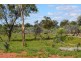 * CLOVER LAKES, Cunnamulla QLD 4490