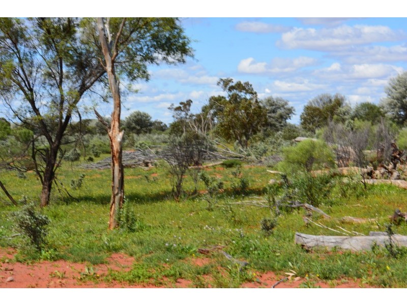 * CLOVER LAKES, Cunnamulla QLD 4490