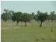 Roma QLD 4455