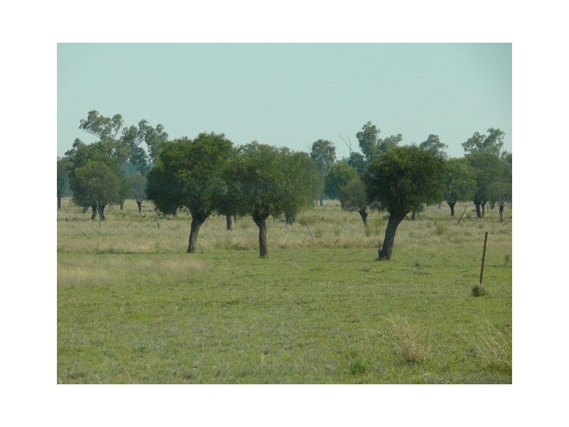Roma QLD 4455