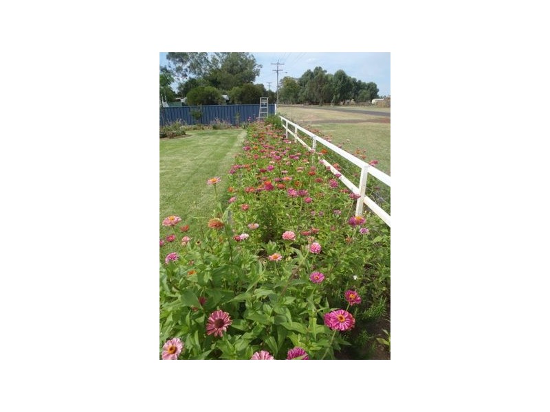 289-291  Alfred St, St George QLD 4487