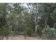 Miles QLD 4415