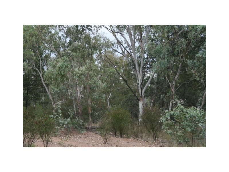 Miles QLD 4415