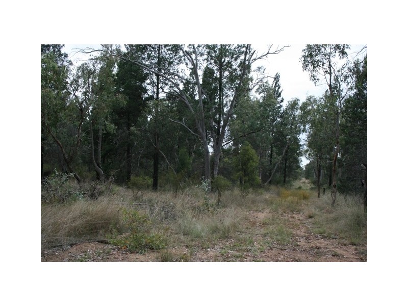 Miles QLD 4415