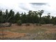 Miles QLD 4415