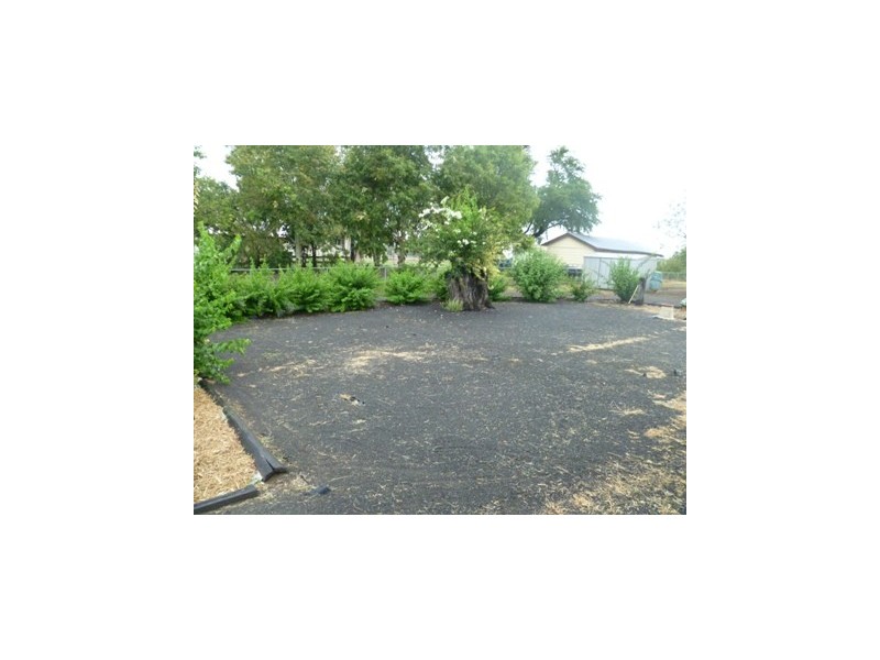 110 WILLIAM ST, Surat QLD 4417