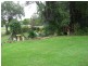 Taroom QLD 4420