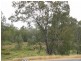 Taroom QLD 4420