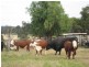 ” Nullabowry”, Millmerran QLD 4357