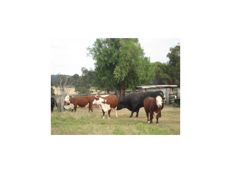 ” Nullabowry”, Millmerran QLD 4357