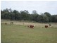 ” Nullabowry”, Millmerran QLD 4357