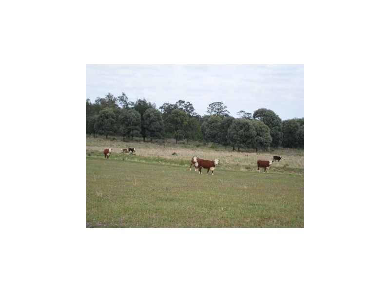 ” Nullabowry”, Millmerran QLD 4357