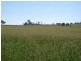 ” Nullabowry”, Millmerran QLD 4357
