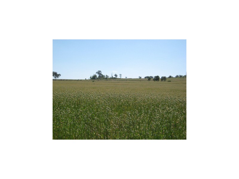 ” Nullabowry”, Millmerran QLD 4357