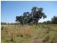 ” Nullabowry”, Millmerran QLD 4357